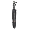 Statyw Coman TK287 + głowica CC1