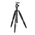 Statyw aluminium Coman TK287 + głowica C1