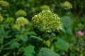 obiektyw-voigtlander-ultron-27-mm-f2-2c0-do-fujifilm-x-czarny_opis_14.jpg