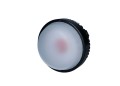 rotolight_neo_3..jpg