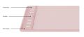 inspiroy 2 s (25).png