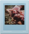 wklad-polaroid-go-film-double-pack-powder-blue-frame_14.jpeg