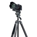 statyw-fotopro-x-airfly-max-video-szary_08.jpeg