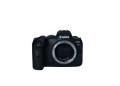 canon_r6_073021003697..jpg