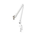 ramie-studyjne-rode-psa1-white_01.jpg