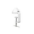 ramie-studyjne-rode-psa1-white_03.jpg