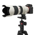 kit-manfrotto-befree-advanced-mkbfrla4fb-bh-tele-lens.jpg