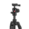 kit-manfrotto-befree-advanced-mkbfrtc4fb-bh-head-with-knob-view.jpg