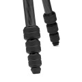 kit-manfrotto-befree-advanced-mkbfrtc4fb-bh-twist-lever---new-graphic.jpg