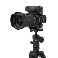 kit-manfrotto-befree-advanced-mkbfrla4fb-bh-arca-on-l-bracket.jpg
