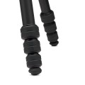 tripod-manfrotto-befree-gt-mtbfrta4gtfb-twist-lever---new-graphic.jpg
