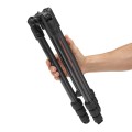 tripod-manfrotto-befree-gt-mtbfrtc4gtfb-closed-with-hand.jpg
