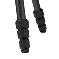 tripod-manfrotto-befree-gt-mtbfrtc4gtfb-twist-lever---new-graphic---carbon.jpg
