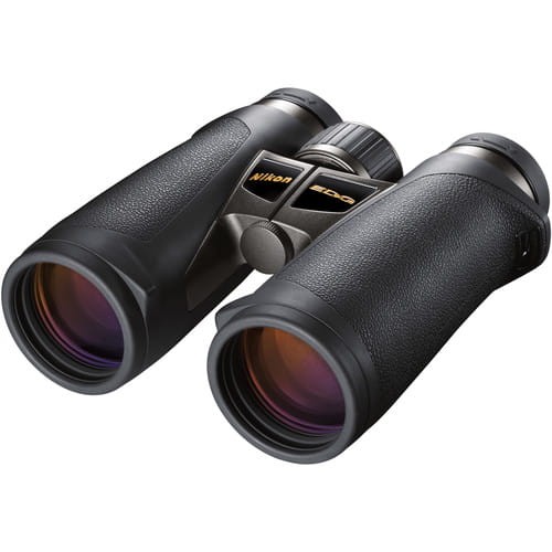 nikon-edg-01.jpg