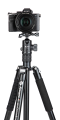 statyw-fotopro-x-go-chameleon-e2-z-glowica-kulowa-fph-52qp_8.jpg