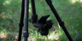 statyw-fotopro-x-go-chameleon-e2-z-glowica-kulowa-fph-52qp_44.jpg