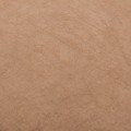 SBACAN02-02_tn.jpg