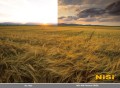 filtr-nisi-square-nano-irgnd-reverse-100x150mm-gnd-0.6_02.jpg