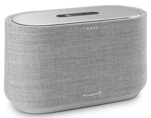 Głośnik Harman Kardon Citation 300 szary