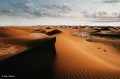 obiektyw-sony-fe-16mm-f-1.8-g-sel16f18g_04.jpg