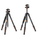 kfconcept-kf09098_3.jpg