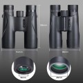 kfconcept-kf33071_2.jpg