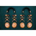 sluchawki-audio-technica-ath-m50x-mo-limited_04.jpg