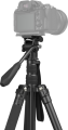 01_119100.png
