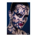 zestaw-westcott-gobo-spot-by-lindsay_3.webp