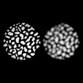 zestaw-westcott-gobo-spot-by-lindsay-environmental_05.webp