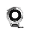 SmallRig_T_CINE_Support_for_Panasonic_Lumix_GH5GH5S_2256_3__87716.1541756159.jpg