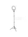 glareone-zestaw-oswietlenie-ciaglego-sunny-ring-45 (3).jpg