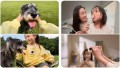 insta360-go-ultra-sticky-tabs-mocowanie-samoprzylepne_03.jpg