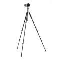 statyw-fotopro-a5i-z-glowica-kulowa-fph-55qs_04.jpg