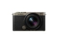 aparat-cyfrowy-panasonic-lumix-s9-black-titanium-edition-s-18-40mm-f4.5-6.3_01.jpeg