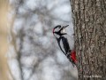 obiektyw-sony-fe-100-400mm-f4.5-gm-oss-sel100400mcw_11.jpg