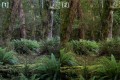 sony-a7r-vi_07.jpeg