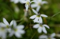 sony-a7r-vi_23.jpeg