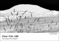 folia-inkjet-do-druku-negatywow-fomei-clear-film-180-arkusze_02.jpeg