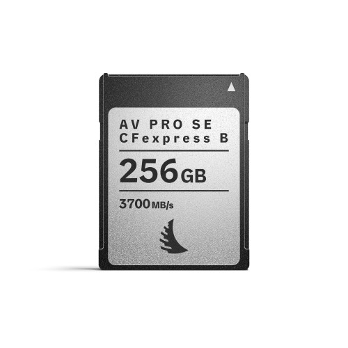 karta-pamieci-angelbird-av-pro-se-cfexpress-b-v4-mk2-256gb_01.jpeg