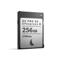 karta-pamieci-angelbird-av-pro-se-cfexpress-b-v4-mk2-256gb_02.jpeg