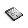 karta-pamieci-angelbird-av-pro-se-cfexpress-b-v4-mk2-256gb_03.jpeg