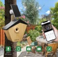 budka-z-kamera-camouflage-ez-birdbox_02.jpeg