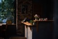 Sample - Obiektyw Mitakon Zhongyi Speedmaster III 50 mm f0,95 do Nikon Z_09_HD.jpg
