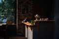 Sample - Obiektyw Mitakon Zhongyi Speedmaster III 50 mm f0,95 do Sony E_09_HD.jpg