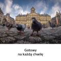 obiektyw-sony-fe-8-14mm-f3.5-fisheye-g-sel814g_08.jpg