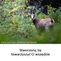PL_SEL400_Carousel_Tile 05 obowiazkowe.jpg