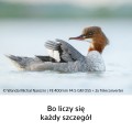 PL_SEL400_Carousel_Tile 06 obowiazkowe.jpg