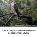 PL_SEL600_03 obowiazkowe.jpg