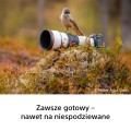 PL_SEL600_05 obowiazkowe.jpg